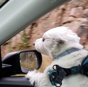 Meet your Posher, Devera